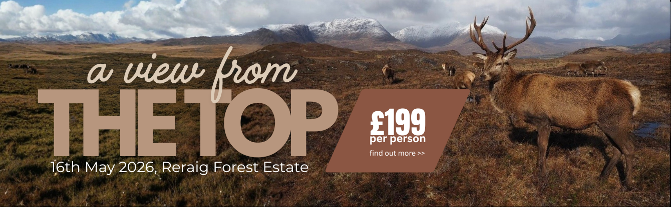 Image A View From The Top.png